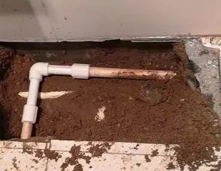 安康测漏水哪家好